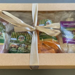 4 Flavour Vegan Fudge Gift Box